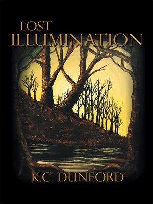 cover image of Lost Illumination